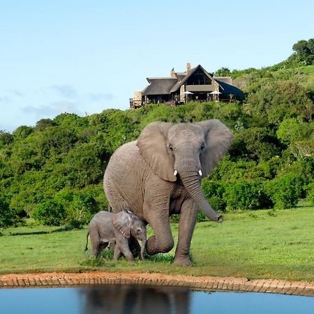 Hopewell Private Game Reserve Buyskloof Esterno foto