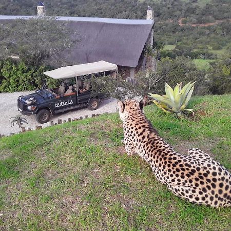 Hopewell Private Game Reserve Buyskloof Esterno foto