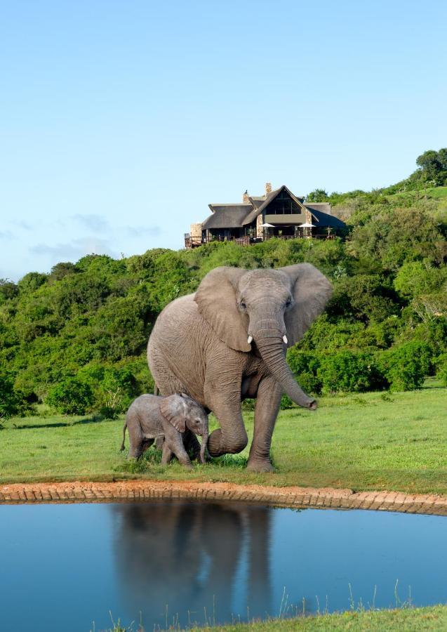 Hopewell Private Game Reserve Buyskloof Esterno foto