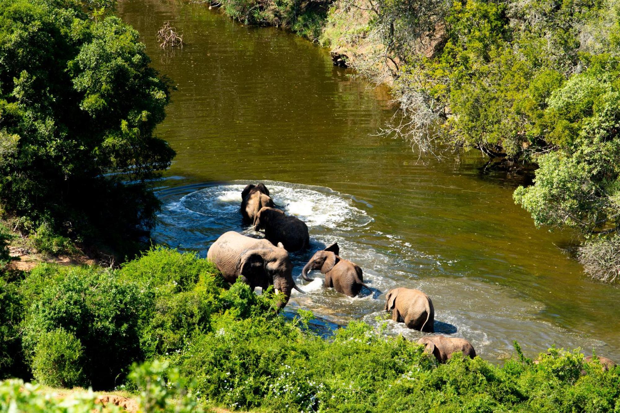 Hopewell Private Game Reserve Buyskloof Esterno foto