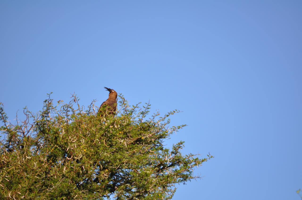 Hopewell Private Game Reserve Buyskloof Esterno foto